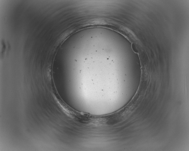 X0000073461225200608111501