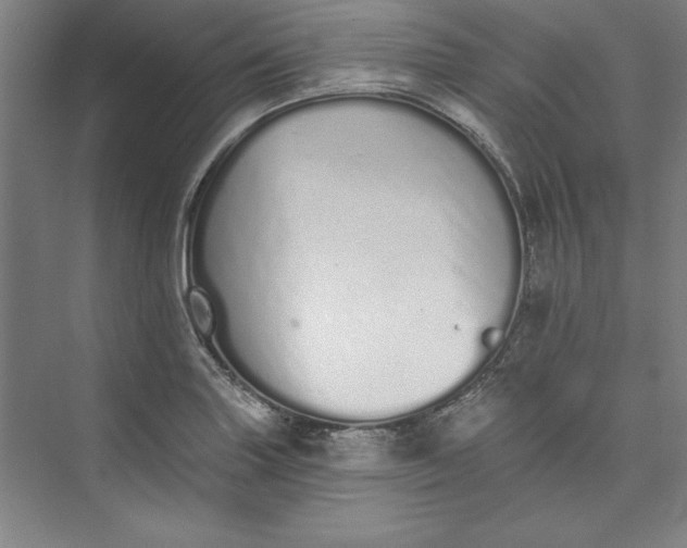 X0000073461227200608111501