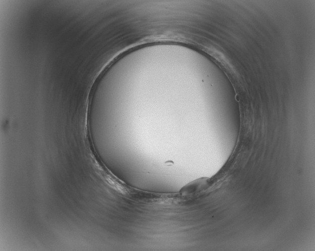 X0000073461228200608111501