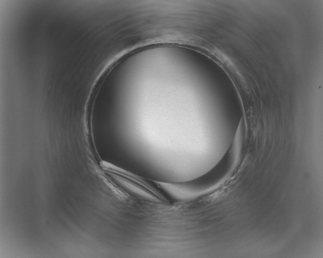 X0000073461230200608111501