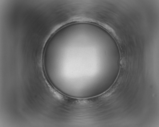 X0000073461231200608111501