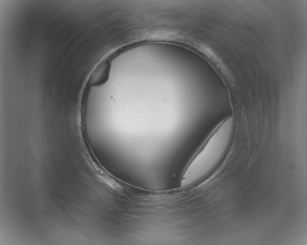 X0000073461232200608111501