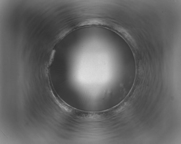 X0000073461233200608111501