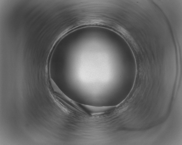 X0000073461234200608111501