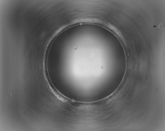 X0000073461237200608111502