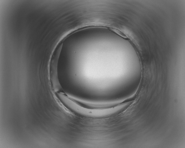 X0000073461238200608111502