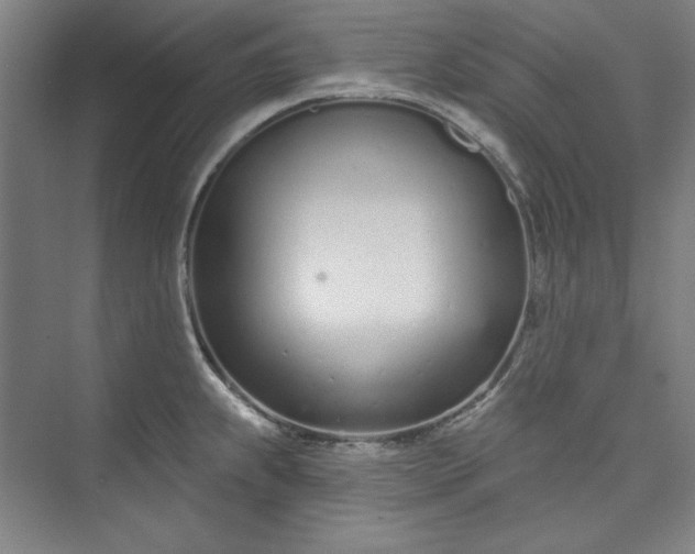 X0000073461239200608111502