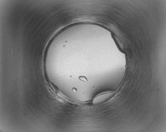 X0000073461240200608111502