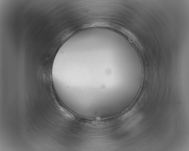 X0000073461241200608111502