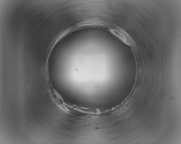 X0000073461242200608111502