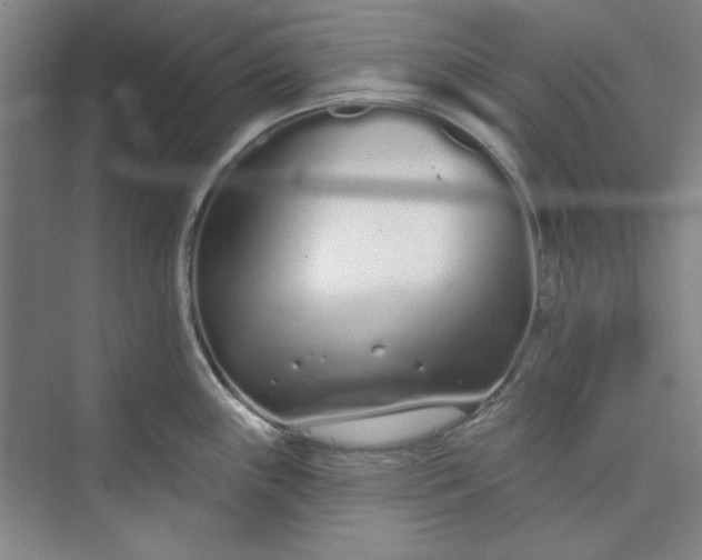 X0000073461243200608111502