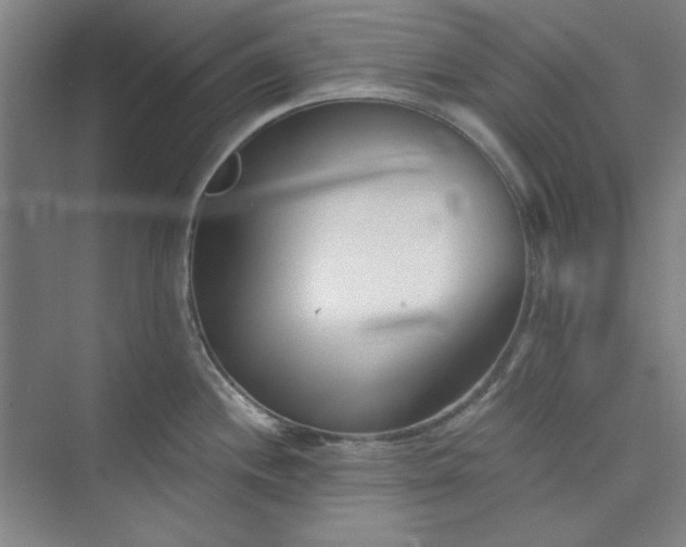 X0000073461244200608111502