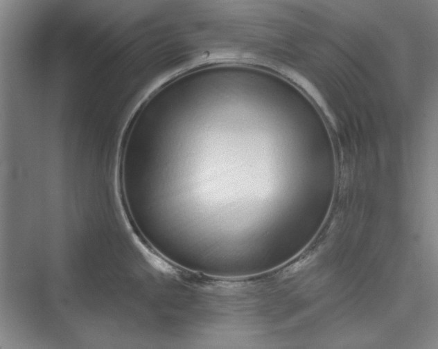 X0000073461245200608111502