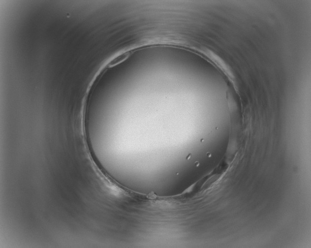 X0000073461246200608111502