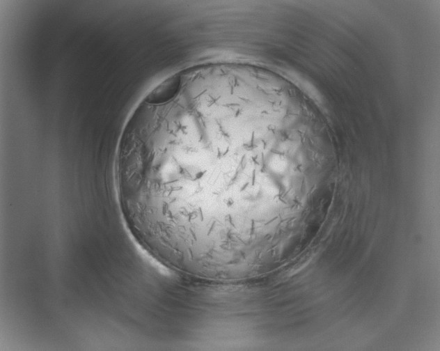 X0000073461247200608111502