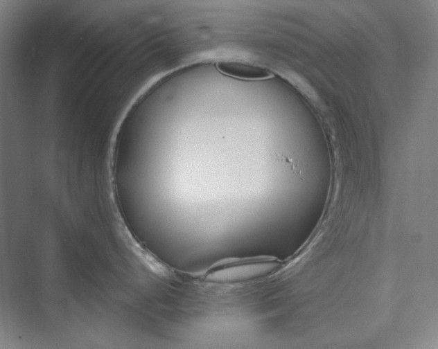 X0000073461248200608111502