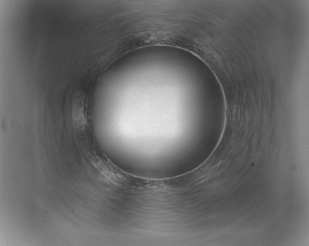 X0000073461250200608111501