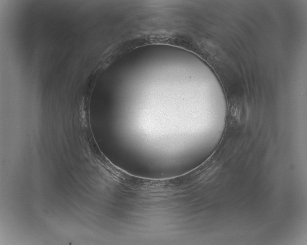 X0000073461252200608111501