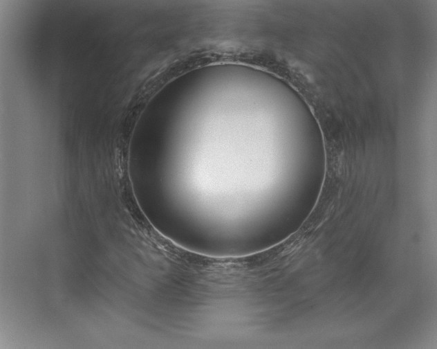 X0000073461253200608111501