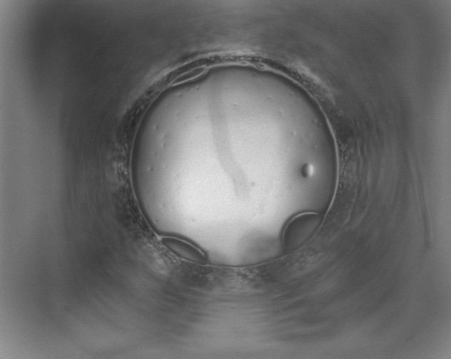 X0000073461255200608111501