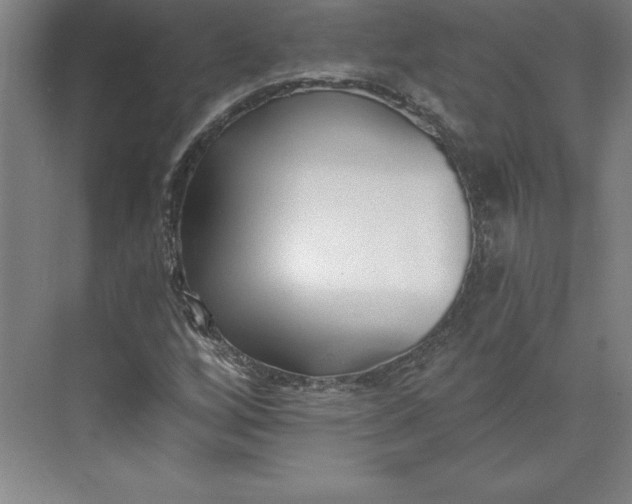 X0000073461256200608111501