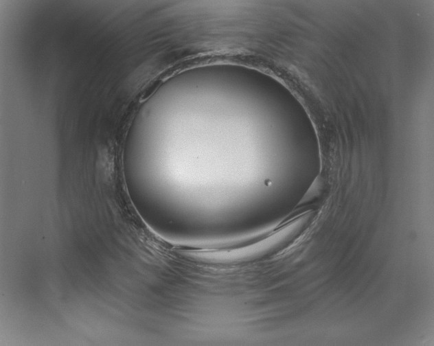 X0000073461257200608111501