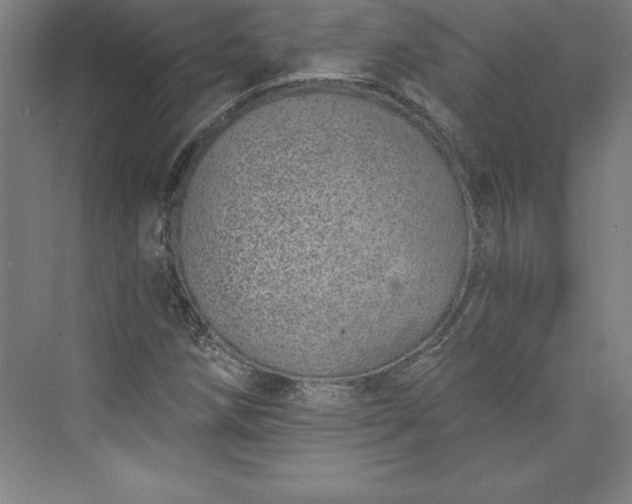 X0000073461258200608111501