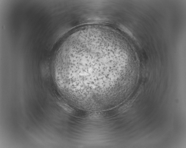 X0000073461259200608111501