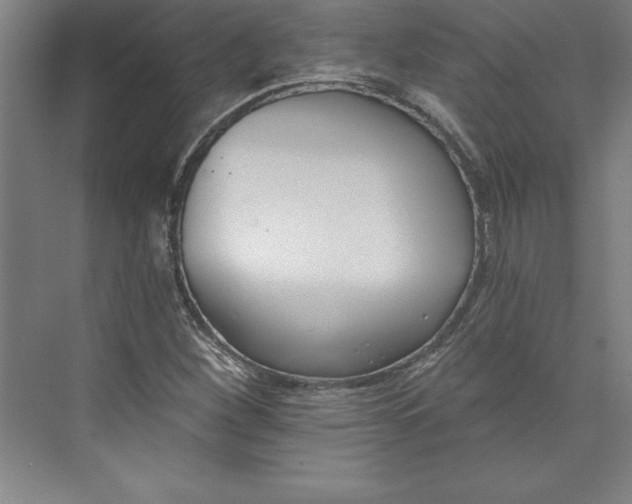 X0000073461260200608111501