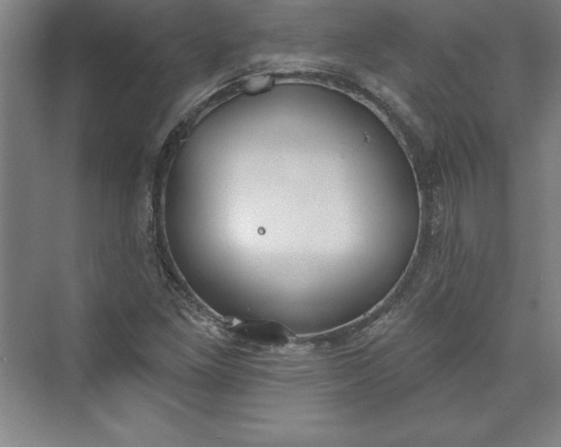 X0000073461261200608111501