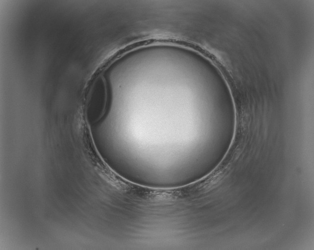 X0000073461263200608111501