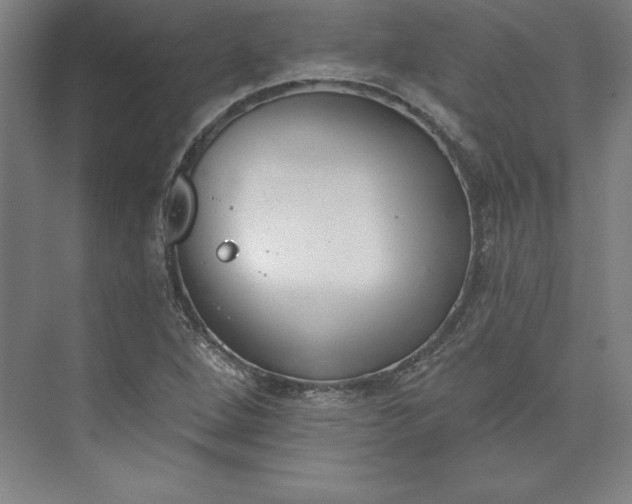 X0000073461264200608111501