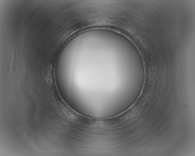 X0000073461265200608111501