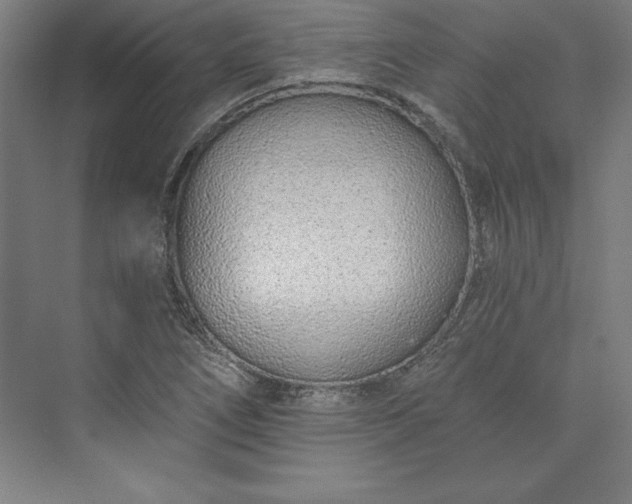 X0000073461266200608111501