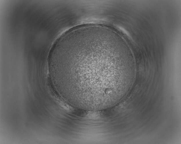 X0000073461267200608111501