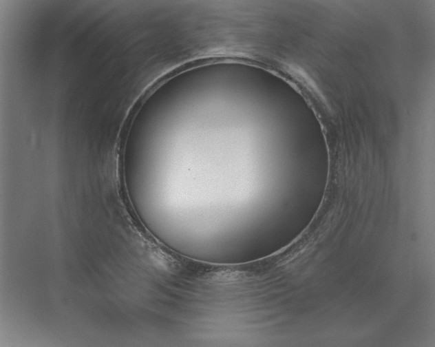 X0000073461268200608111501