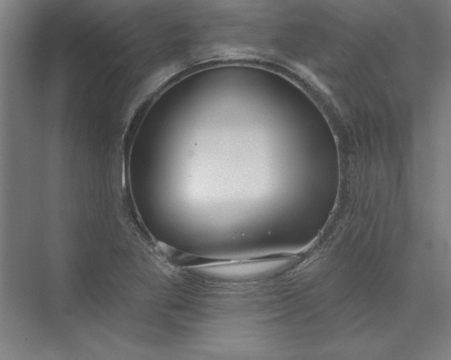 X0000073461269200608111501