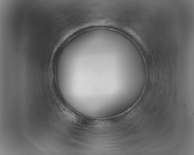 X0000073461270200608111501