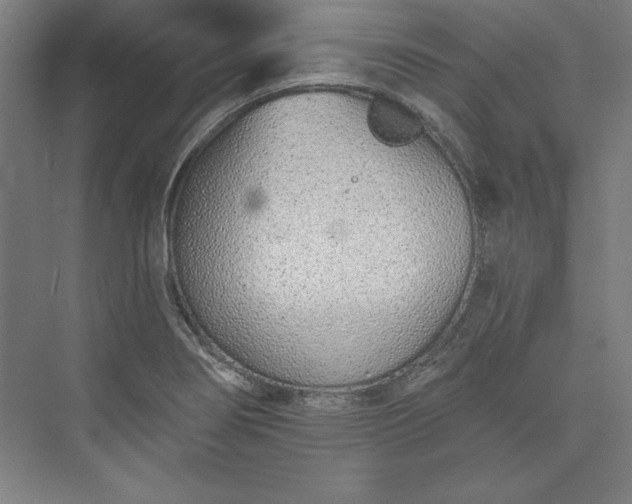 X0000073461274200608111500