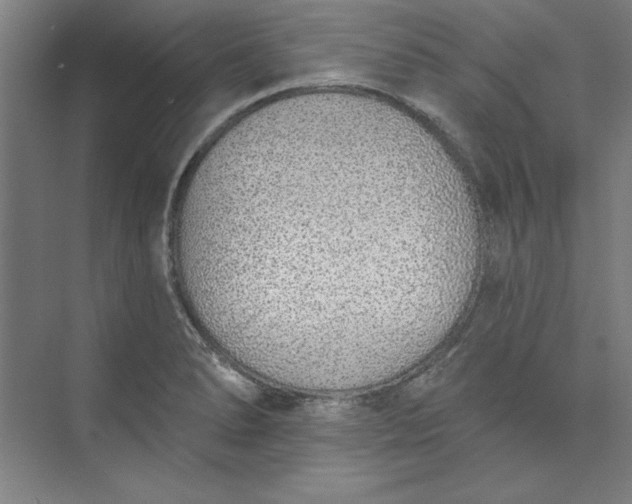 X0000073461278200608111500