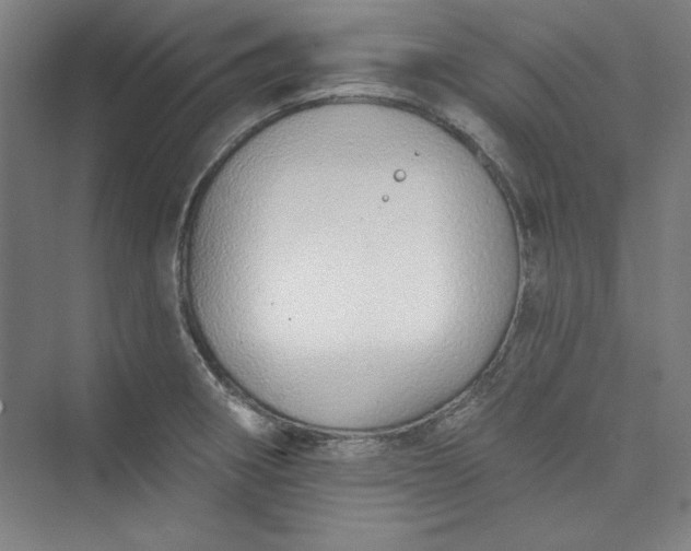 X0000073461282200608111500