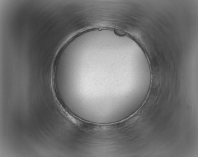 X0000073461286200608111500