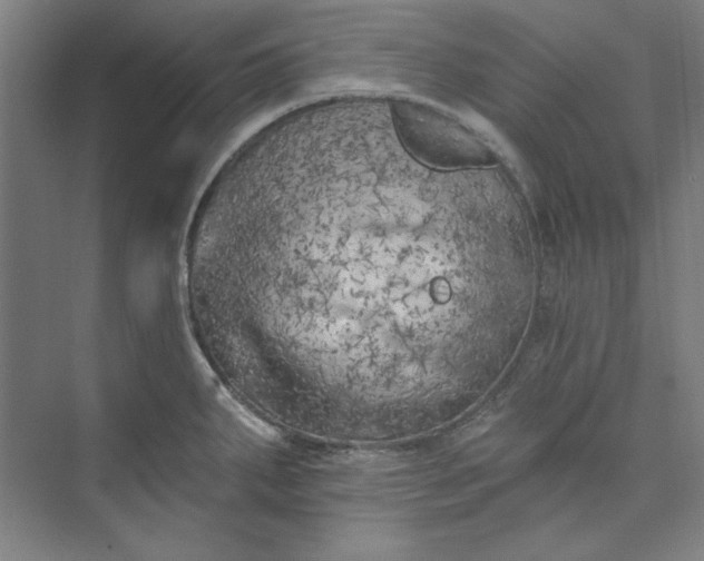 X0000073461287200608111500