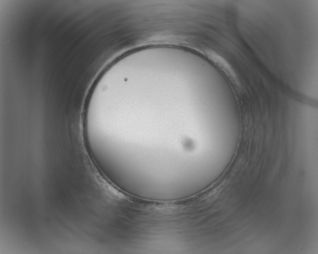 X0000073461288200608111500