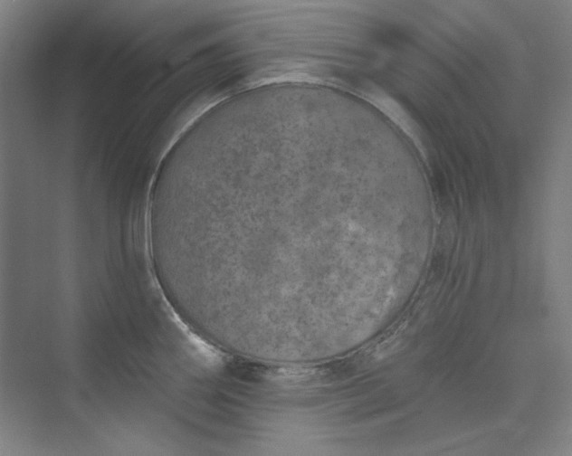 X0000073461290200608111500