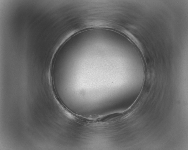 X0000073461293200608111500