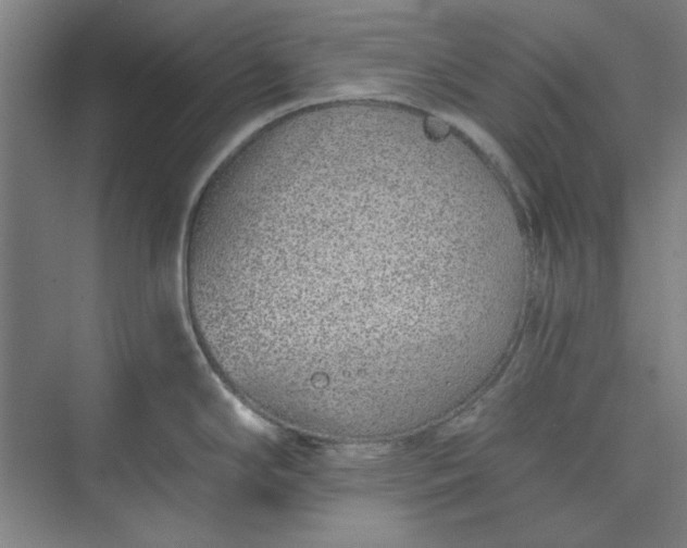 X0000073461294200608111500