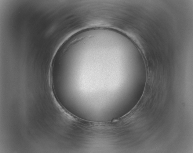 X0000073461295200608111500