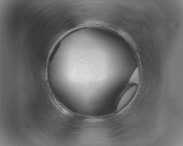 X0000073461296200608111500