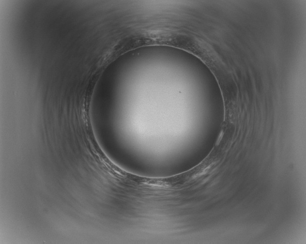 X0000073461298200608111459